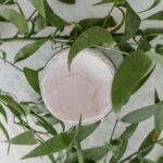 Top view of a skincare cream container surrounded by lush green leaves, offering a natural and organic feel.