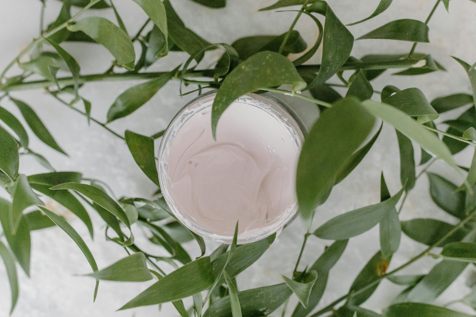 Top view of a skincare cream container surrounded by lush green leaves, offering a natural and organic feel.